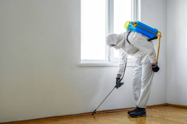 Reliable North Olmsted, OH Pest Control Solutions