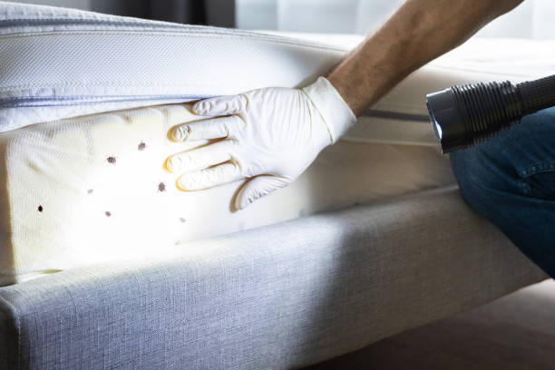  North Olmsted, OH Pest Control Pros